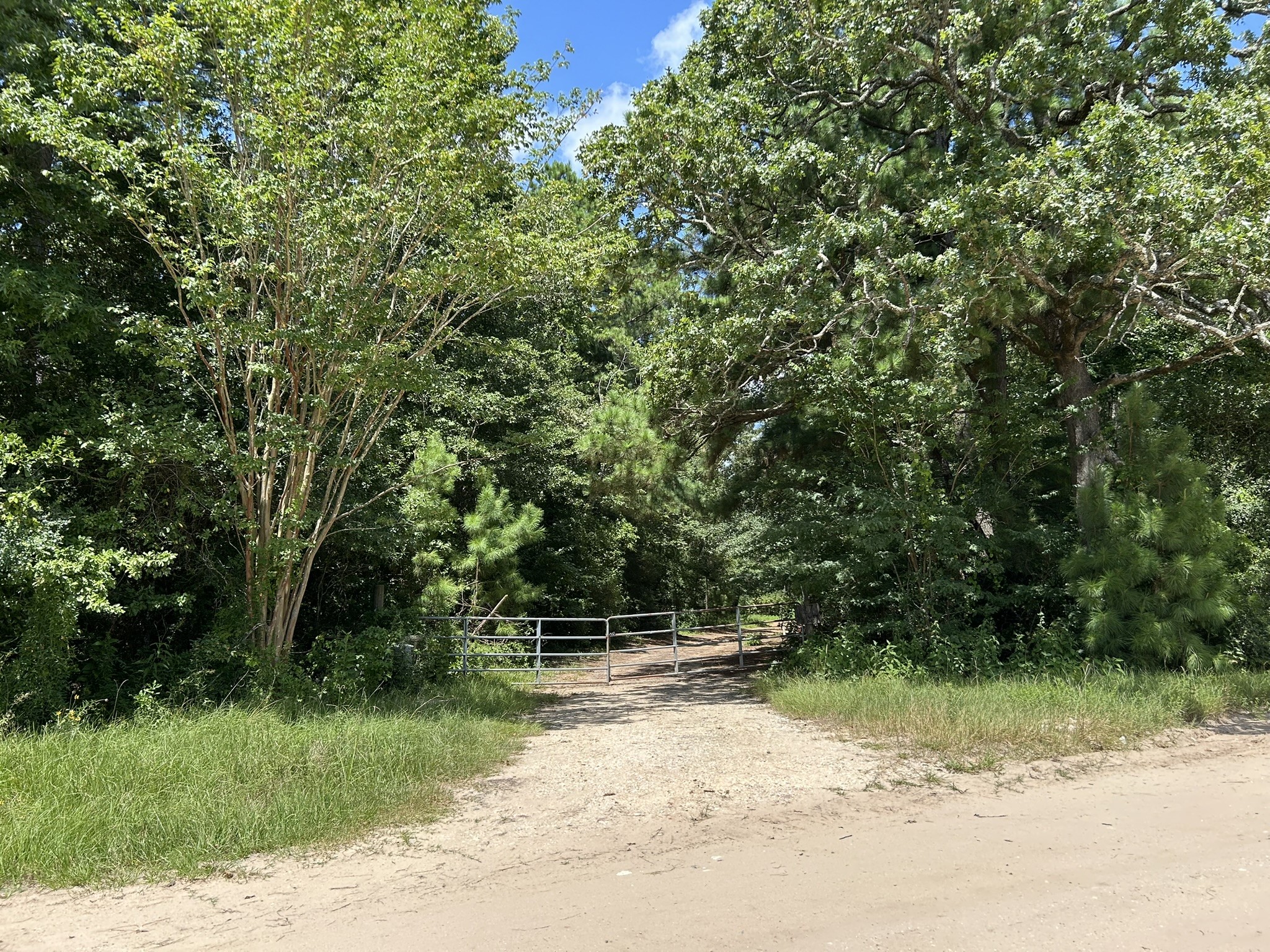 87 Townley Ranch Road Huntsville, TX 77320 - Photo 3 of 50