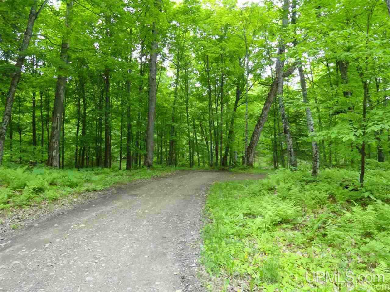 4803 Hemlock Point Road Republic, MI 49879 - Photo 34 of 43 Gallery Image 34