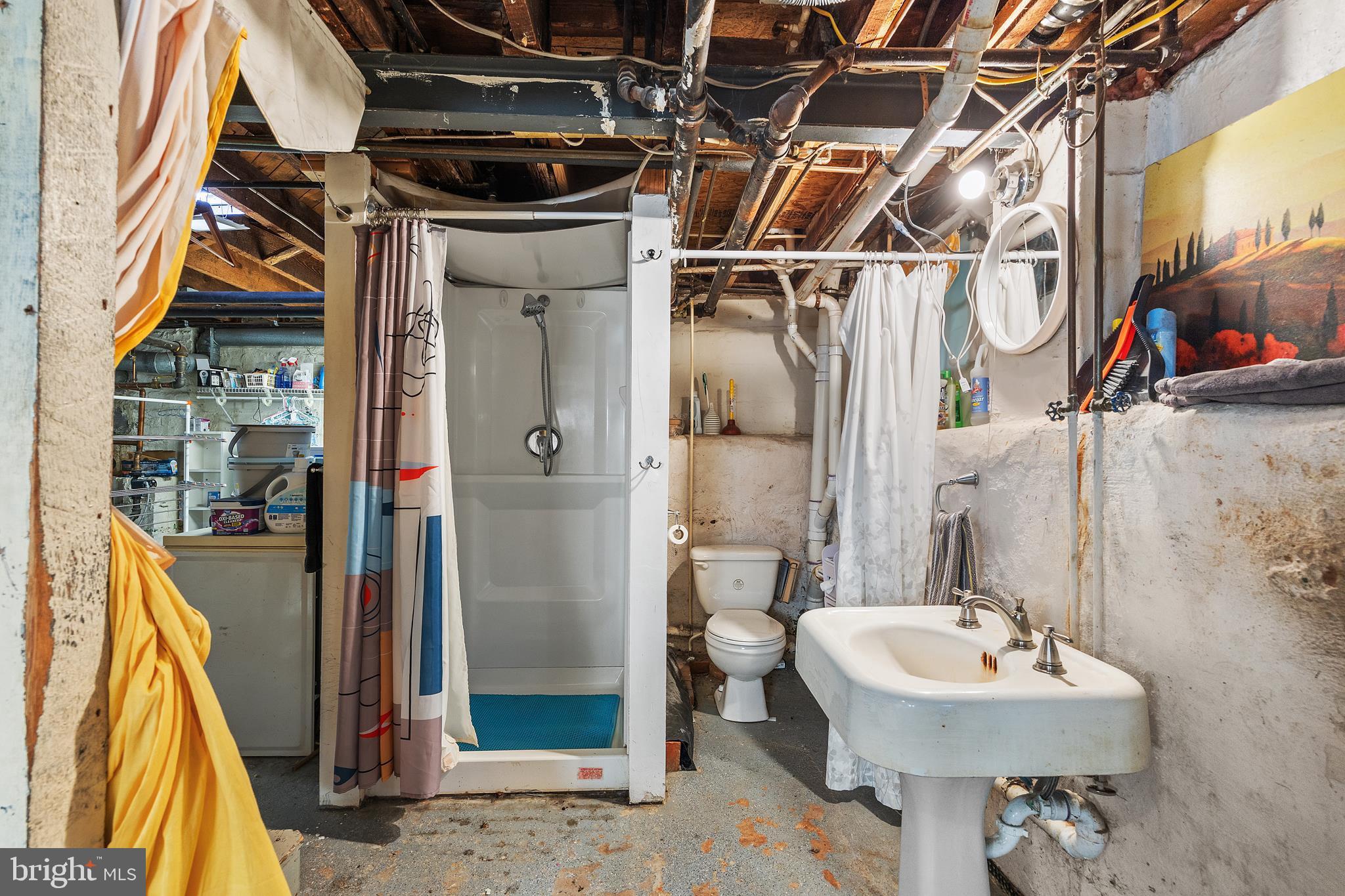 315 North Bend Road Baltimore, MD 21229 - Photo 26 of 34 Full bath in the basement. Ok there are no walls.