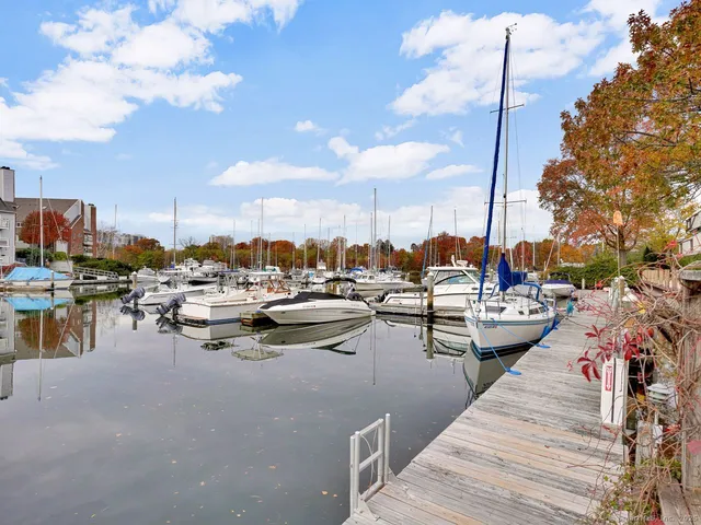 a view of a lake with boats and trees in the background