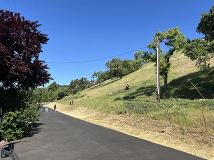 a view of a yard with an tree