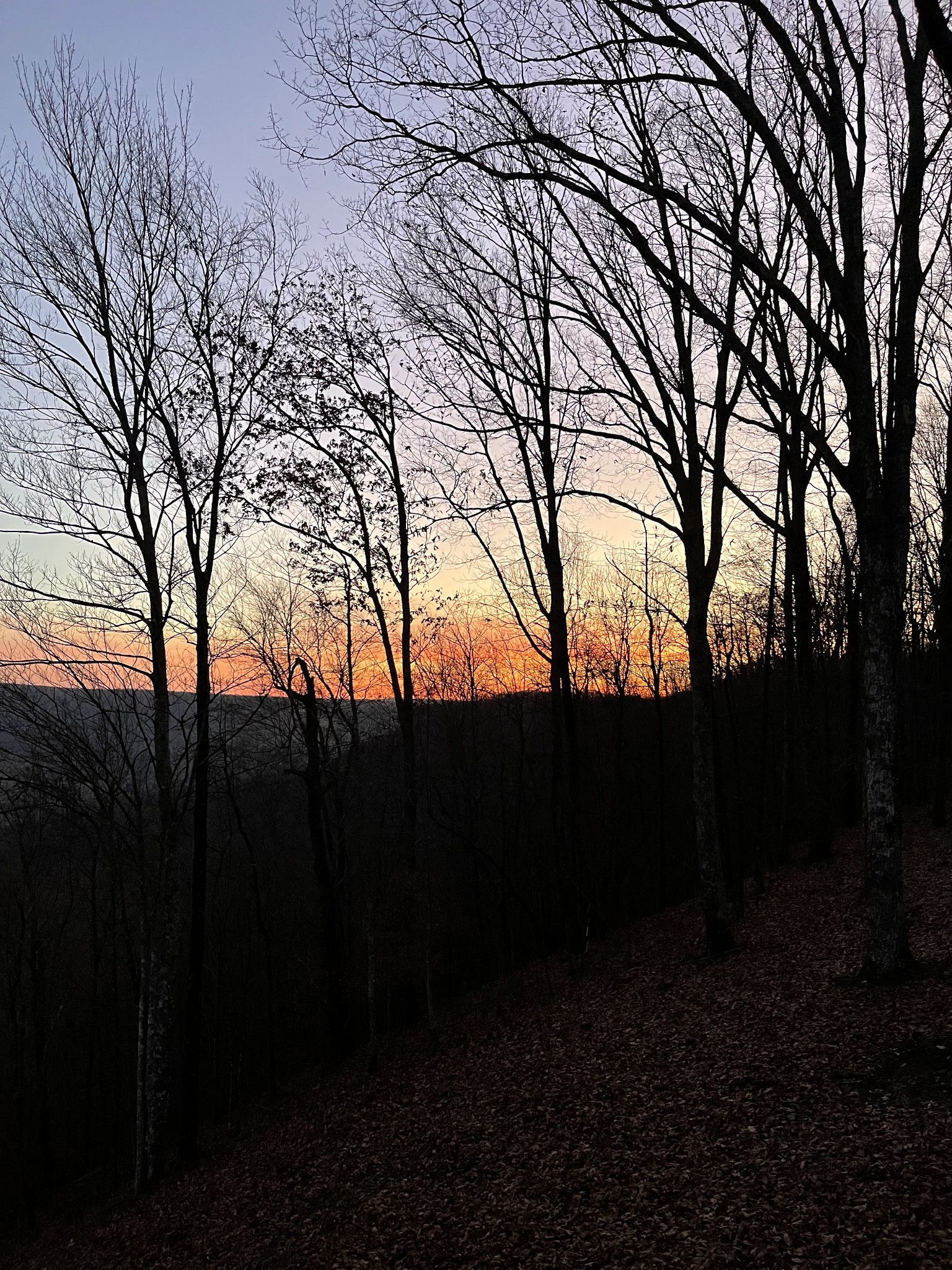 2245 Ravens Den Road Sewanee, TN 37375 - Photo 49 of 53