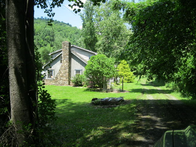 6294 Dillons Mill Road Callaway, VA 24067 - Photo 2 of 23 a view of a big yard with plants and large trees