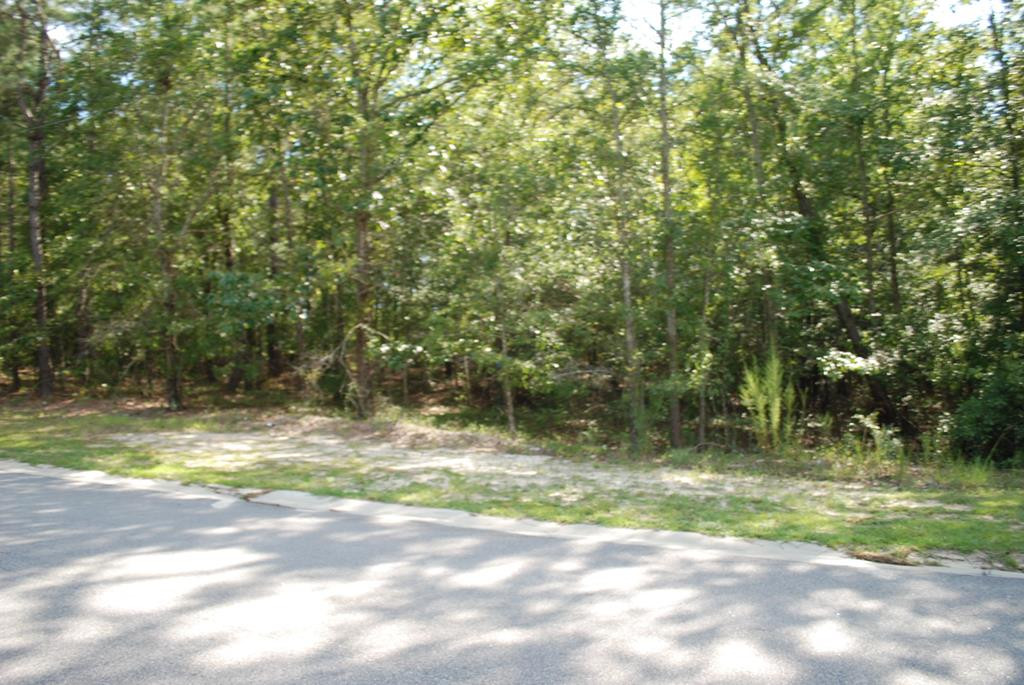 7440 Bennett Drive Rembert, SC 29128 - Photo 1 of 5