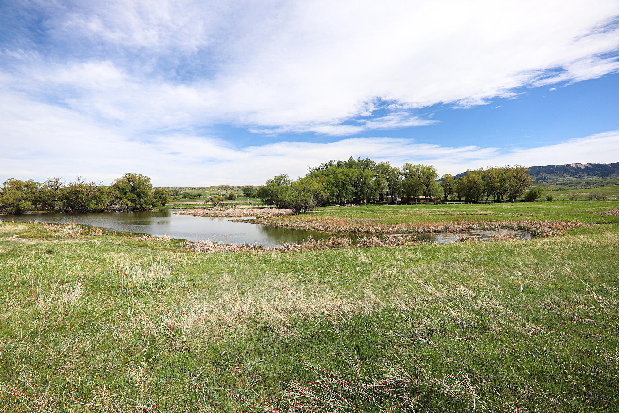 183185 Bird Farm Road Sheridan, WY 82833 - Photo 57 of 82 10.
