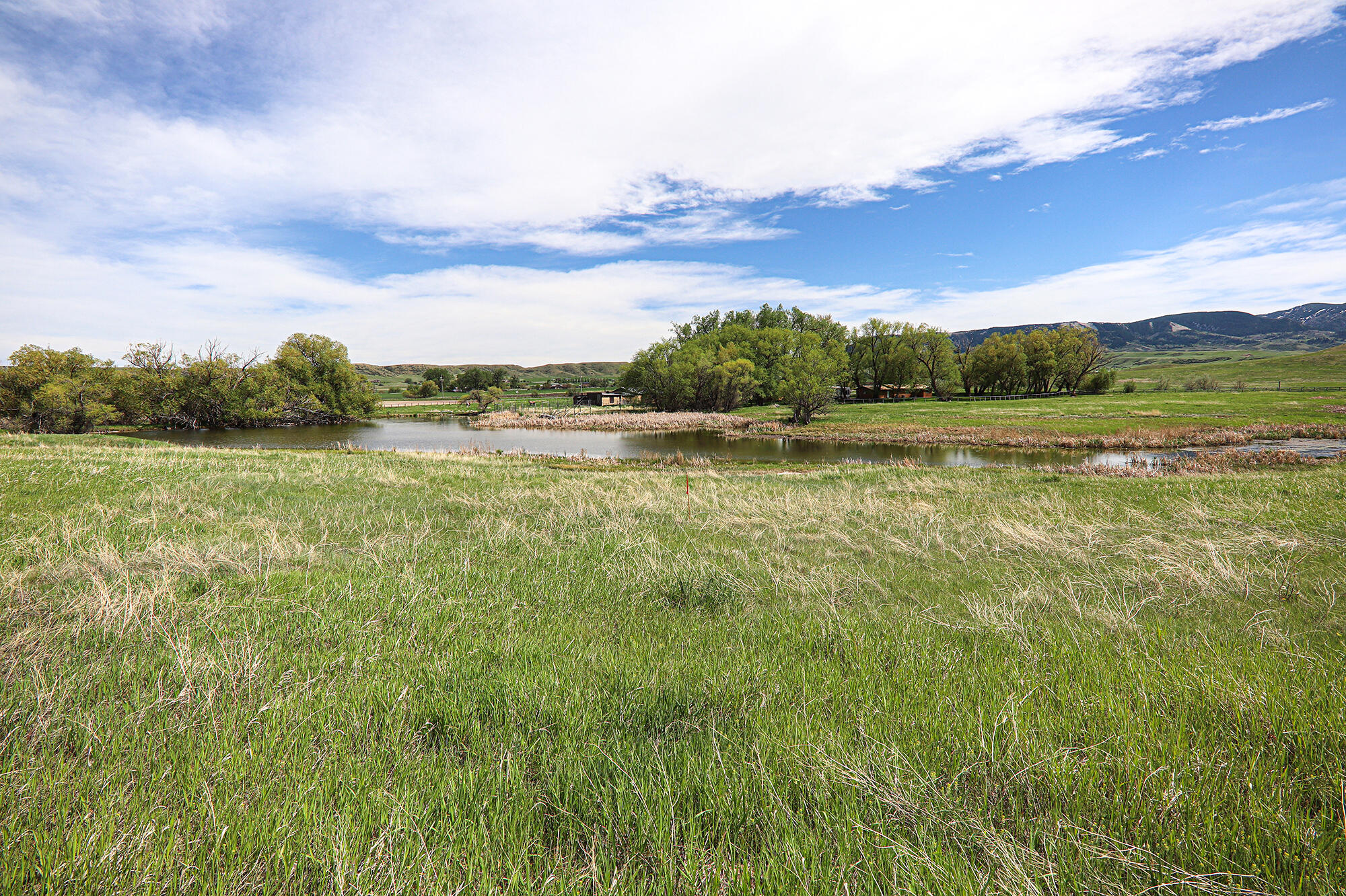 183185 Bird Farm Road Sheridan, WY 82833 - Photo 64 of 82 16.