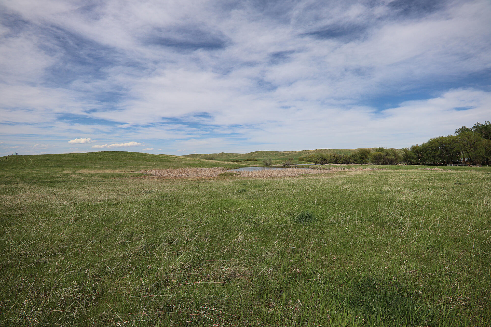 183185 Bird Farm Road Sheridan, WY 82833 - Photo 75 of 82 g.