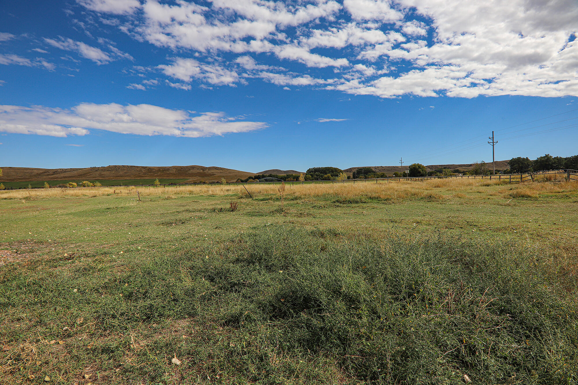 183185 Bird Farm Road Sheridan, WY 82833 - Photo 81 of 82 56.