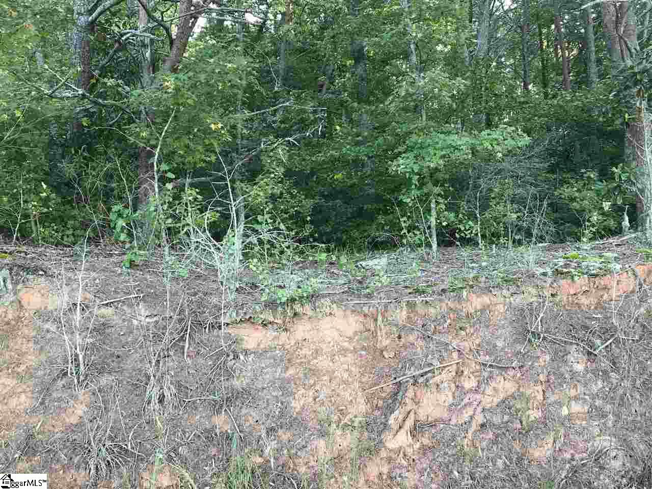 0 Jackson Street Liberty, SC 29657 - Photo 1 of 7 Gallery Image 1