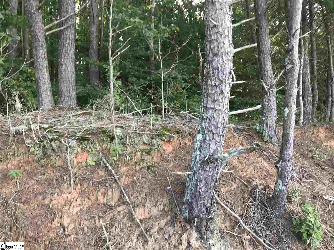 0 Jackson Street Liberty, SC 29657 - Photo 5 of 7 Gallery Image 5