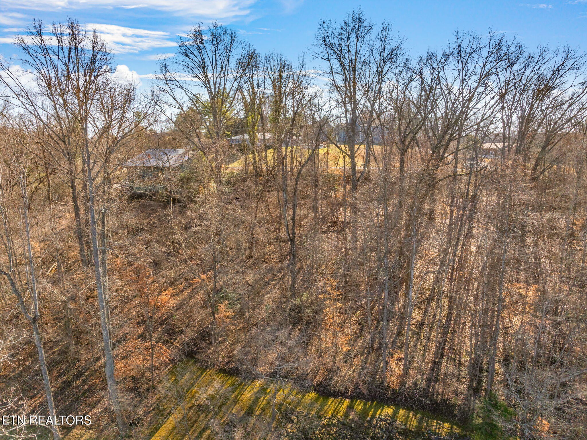 48 Orchard Knob Road Clinton, TN 37716 - Photo 3 of 29 Gallery Image 3