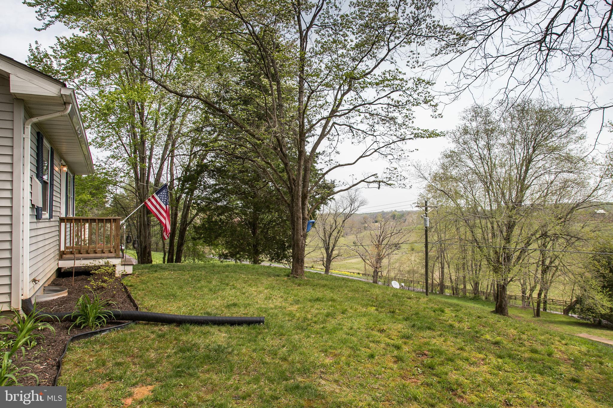 12020 Rixeyville Road Culpeper, VA 22701 - Photo 2 of 30 Private Lot with Trees
