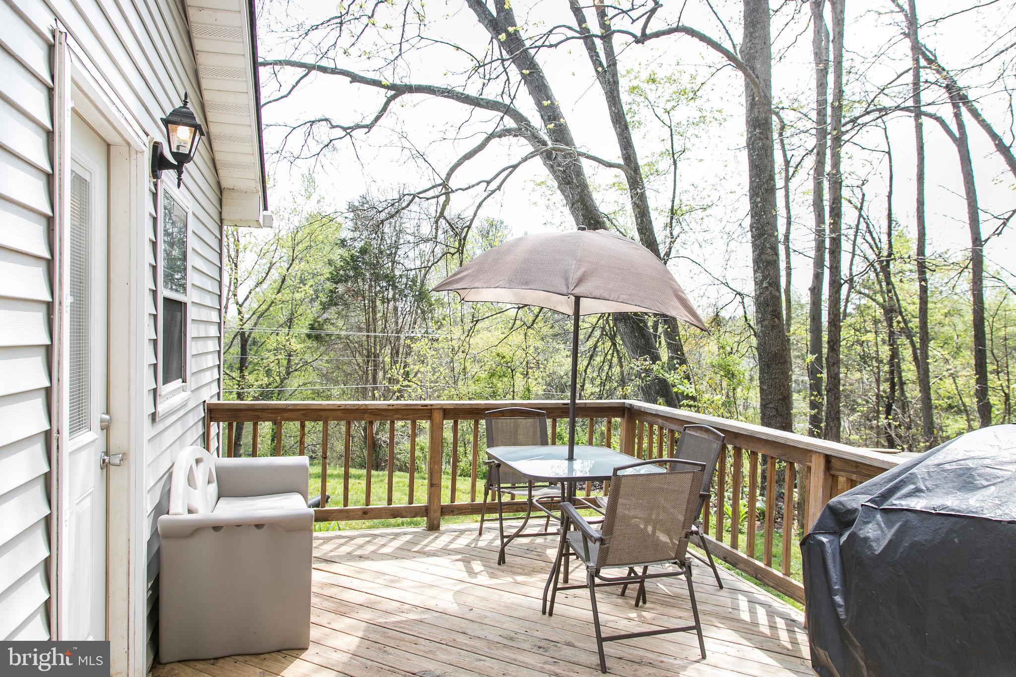 12020 Rixeyville Road Culpeper, VA 22701 - Photo 24 of 30 Deck off the Kitchen for Outdoor Entertaining