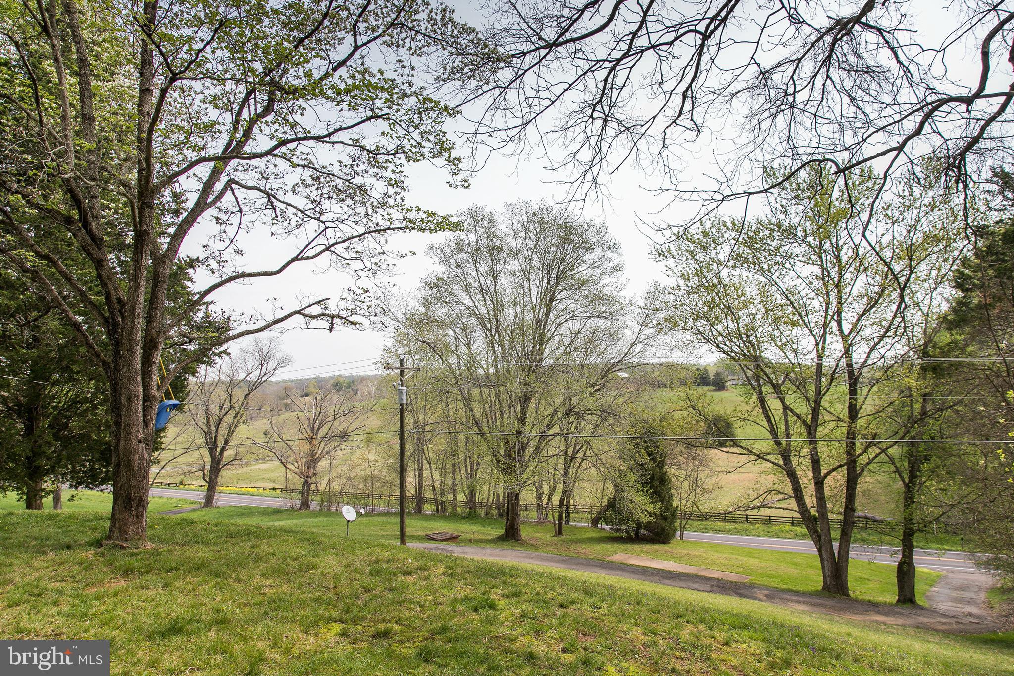 12020 Rixeyville Road Culpeper, VA 22701 - Photo 29 of 30 Scenic View from the Front Yard