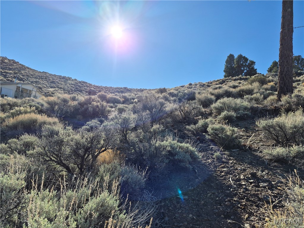 0 Rustic Canyon Road Big Bear City, CA 92314 - Photo 3 of 11 a view of a yard of a building