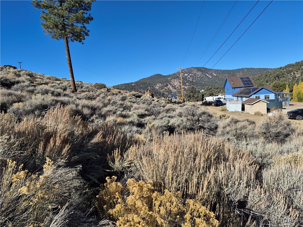 0 Rustic Canyon Road Big Bear City, CA 92314 - Photo 4 of 11 a view of a house with a yard