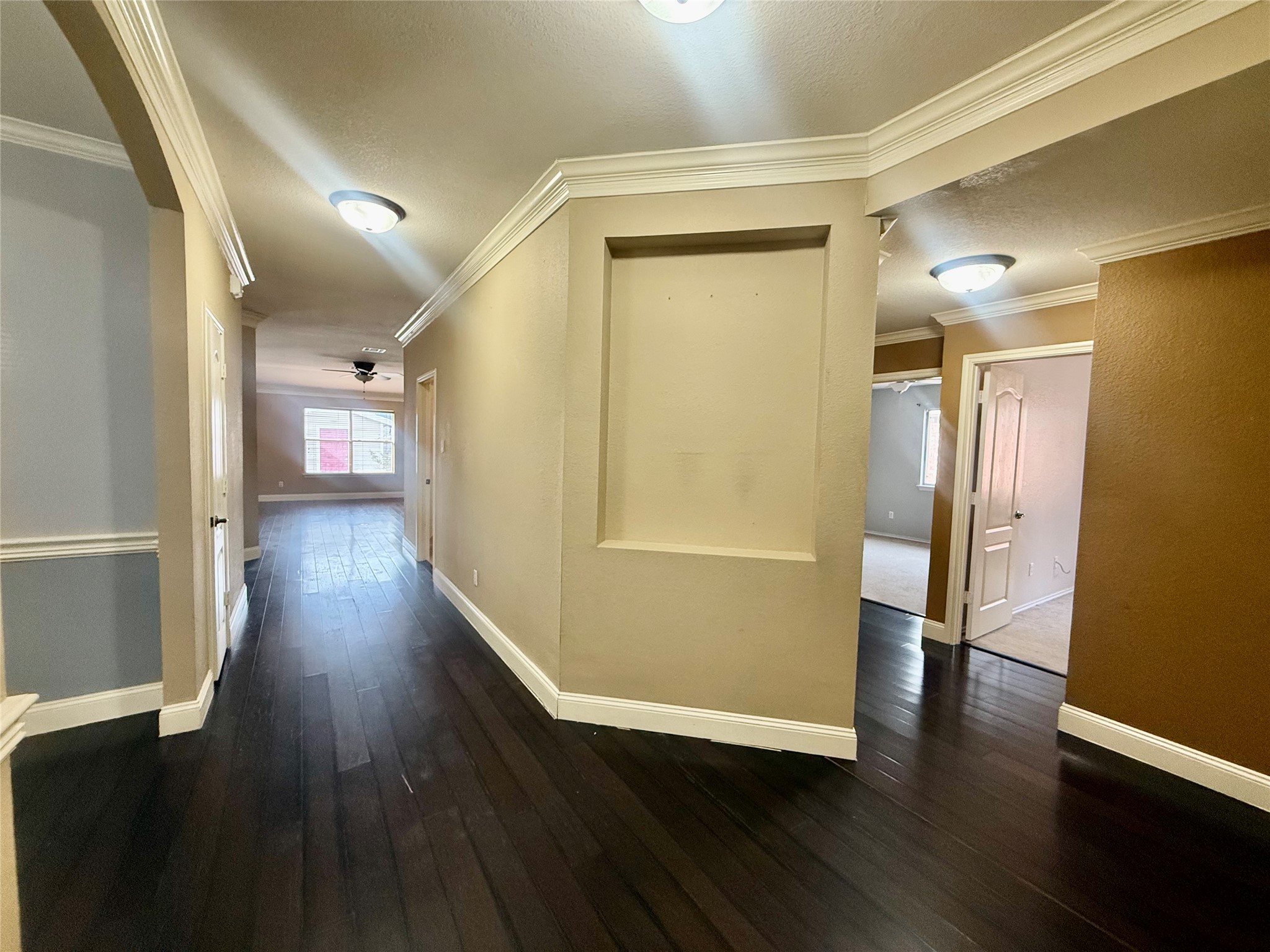 12820 Waynespur Lane Elgin, TX 78621 - Photo 3 of 26 Corridor with dark wood-style floors and crown molding