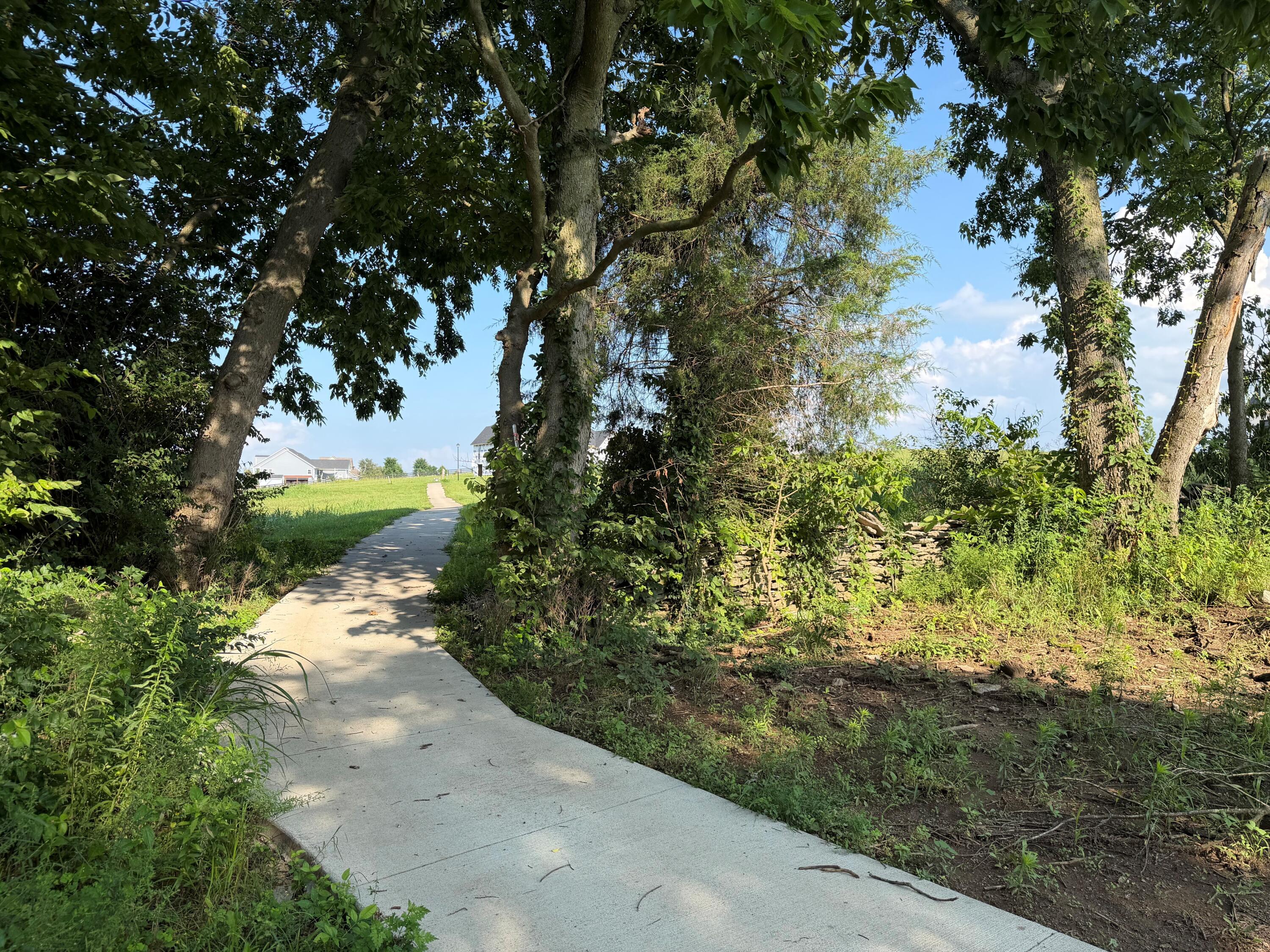 112 Retreat Road Danville, KY 40422 - Photo 39 of 40 112 Retreat Rd cart path to DCC tee #17
