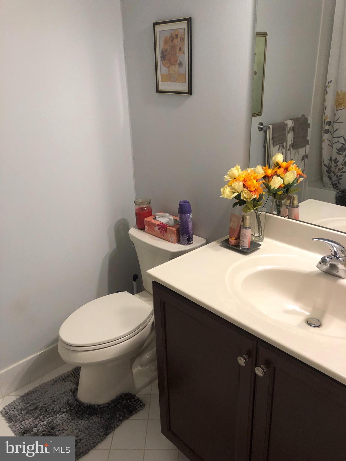239 Carson Terrace, Unit 239 Huntingdon Valley, PA 19006 - Photo 16 of 19 a bathroom with a sink toilet and mirror