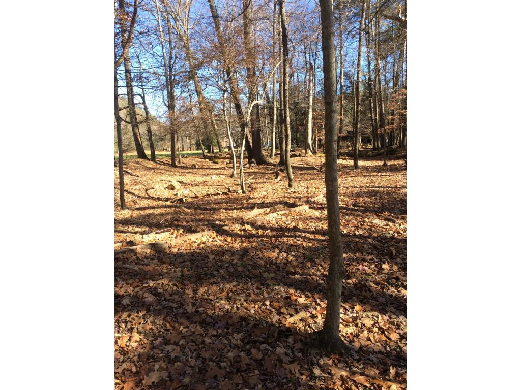 127 Jake Hopson Road Unicoi, TN 37692 - Photo 13 of 15 Photo 13