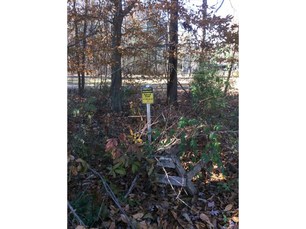 127 Jake Hopson Road Unicoi, TN 37692 - Photo 6 of 15 Photo 6