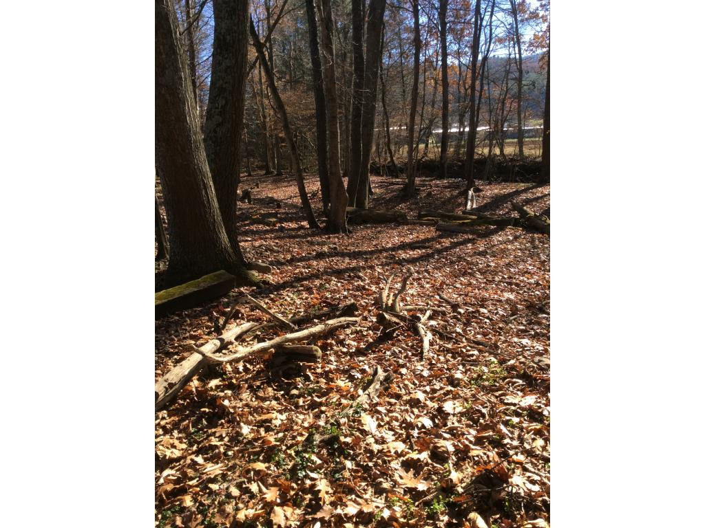 127 Jake Hopson Road Unicoi, TN 37692 - Photo 10 of 15 Photo 10