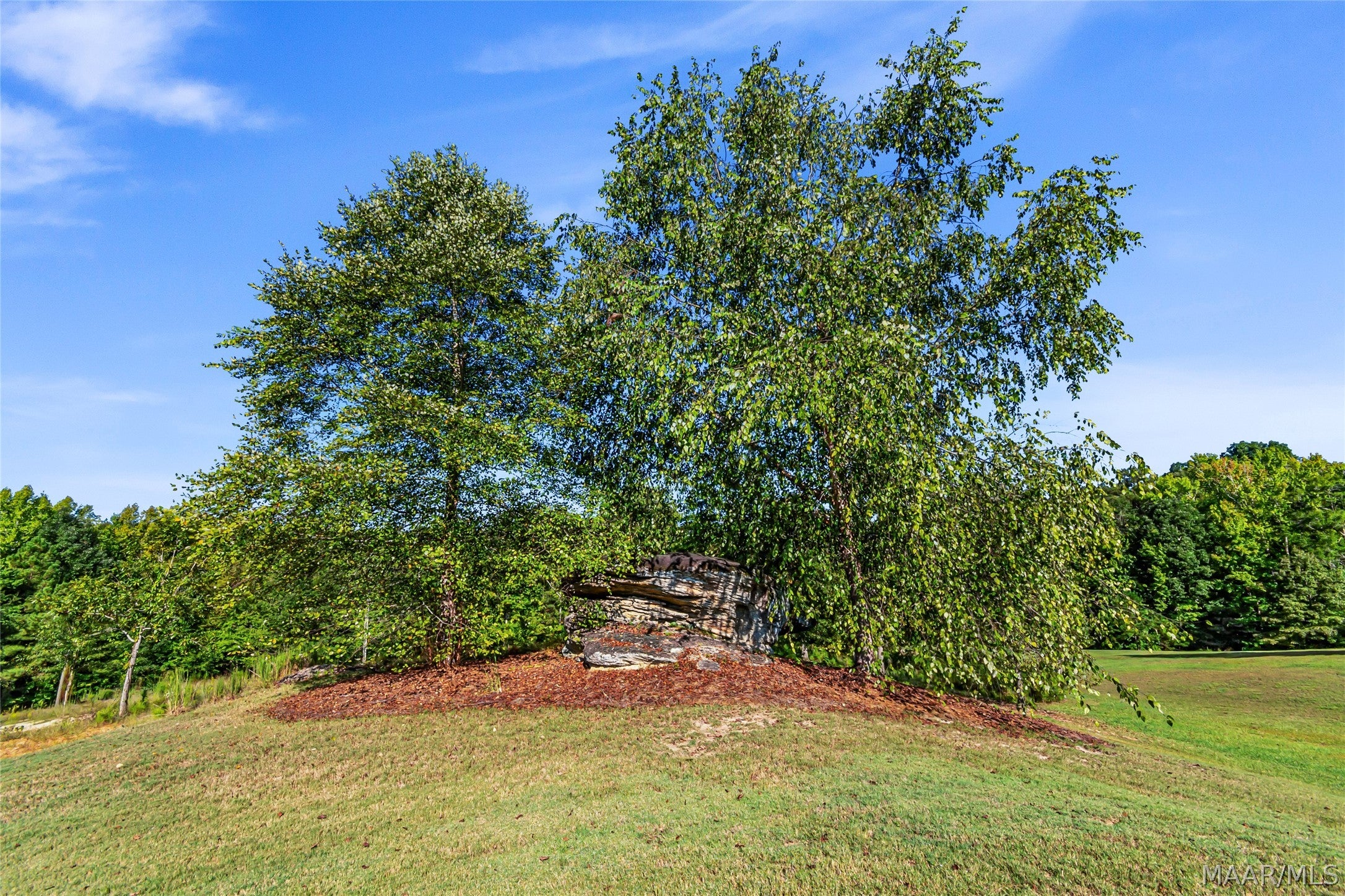 595 Nero Rock Road Eclectic, AL 36024 - Photo 44 of 62 Gallery Image 44