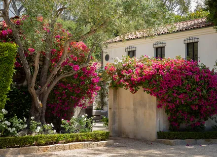 a view of a house with a garden
