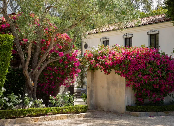 a view of a house with a garden
