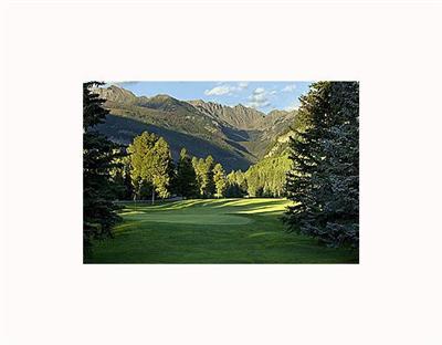 996 Ptarmigan Road Vail, CO 81657 - Photo 1 of 9 Primary Photo