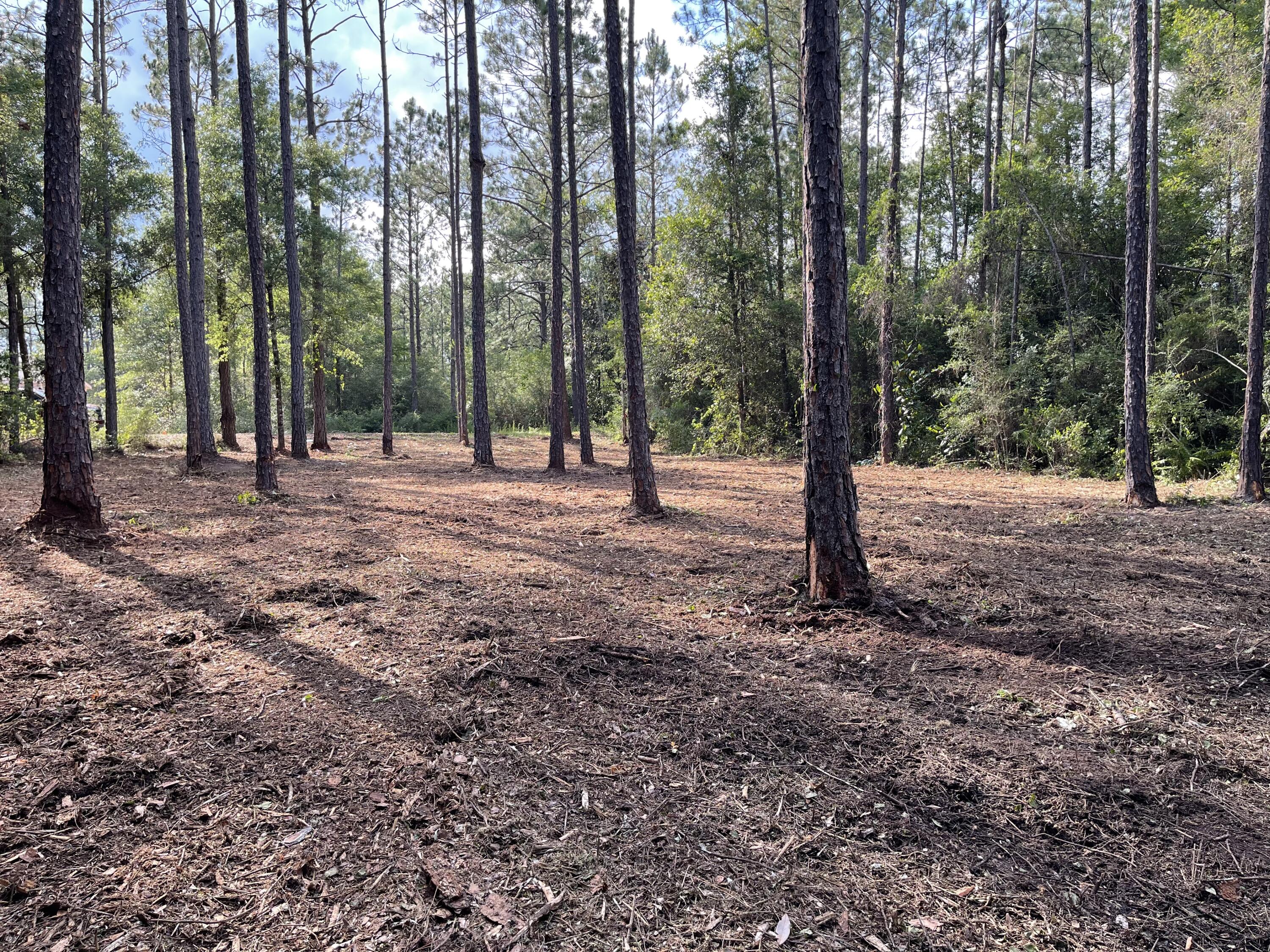 49-acre East Michaelangelo Road DeFuniak Springs, FL 32433 - Photo 11 of 14 E9214BB5-9D04-4D1A-9D94-97FB82A707C9