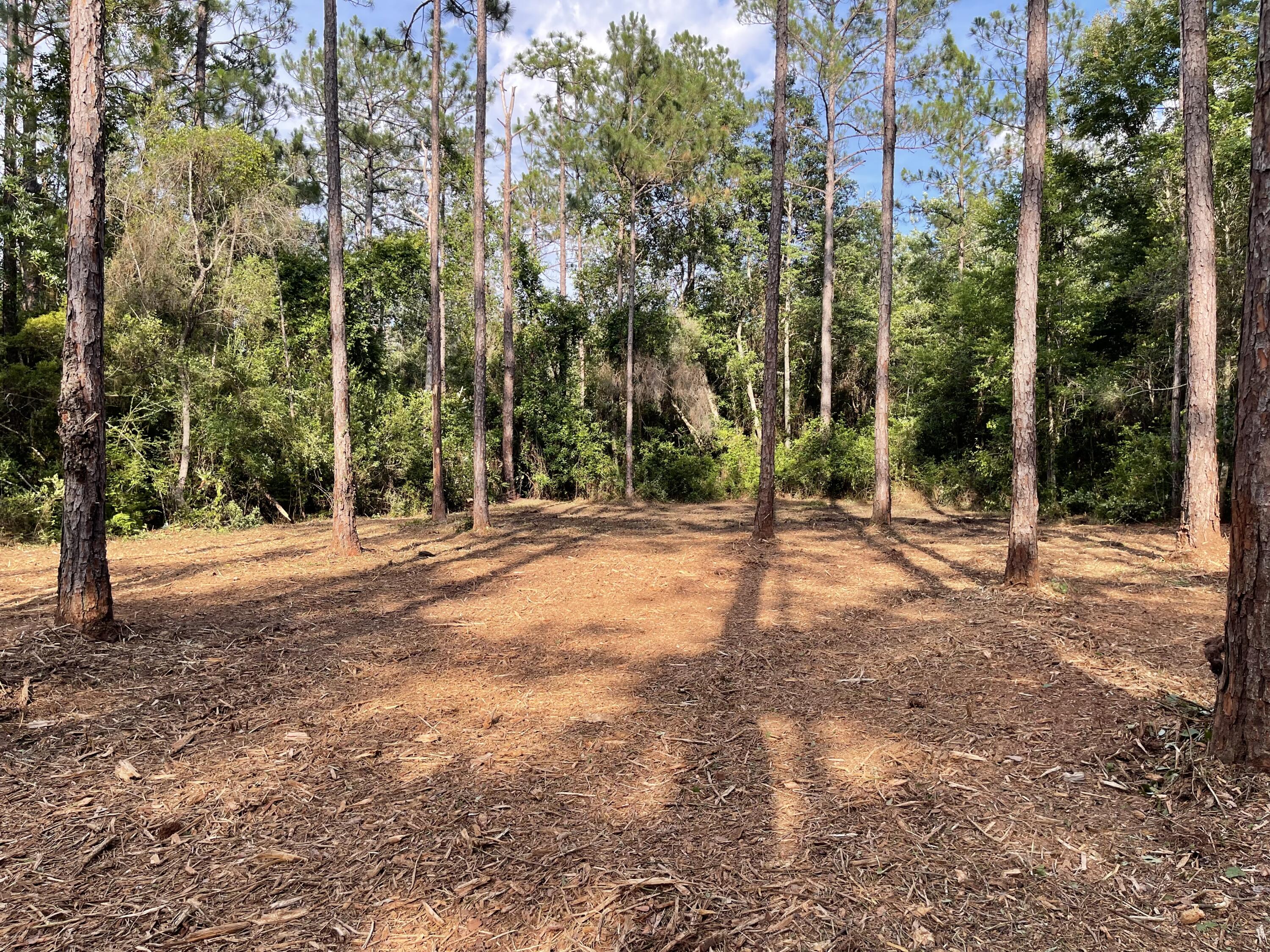 49-acre East Michaelangelo Road DeFuniak Springs, FL 32433 - Photo 5 of 14 8BF7D584-1DCA-420A-9CCE-012022F26B63