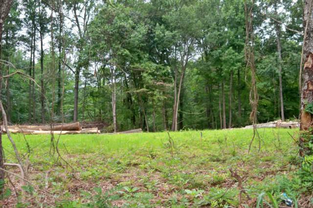 2 Bend Road Clarksville, TN 37040 - Photo 5 of 10