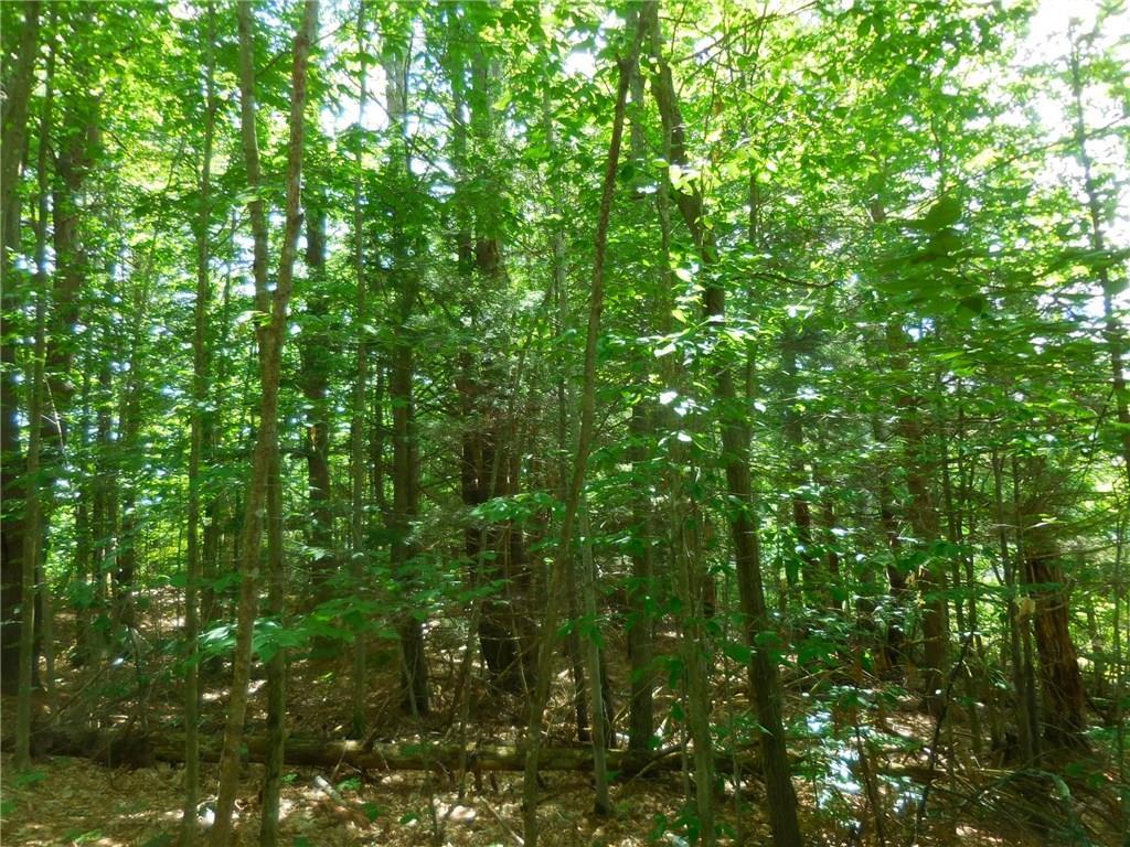 1 Long Lane Road Windham, ME 04062 - Photo 12 of 16 Photo