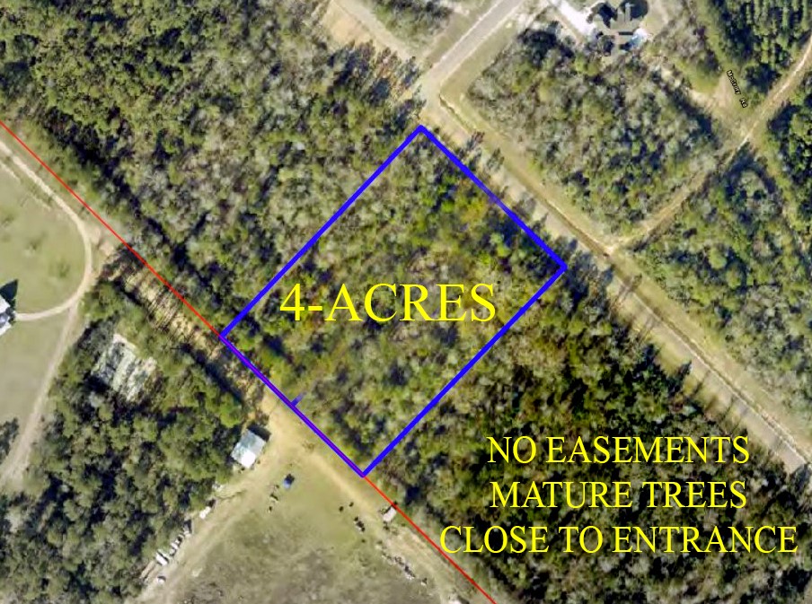 11646 Grand N Road Willis, TX 77378 - Photo 3 of 14 CAN BE COMBINED WITH NEIGHBORING LOT FOR 4 ACRES