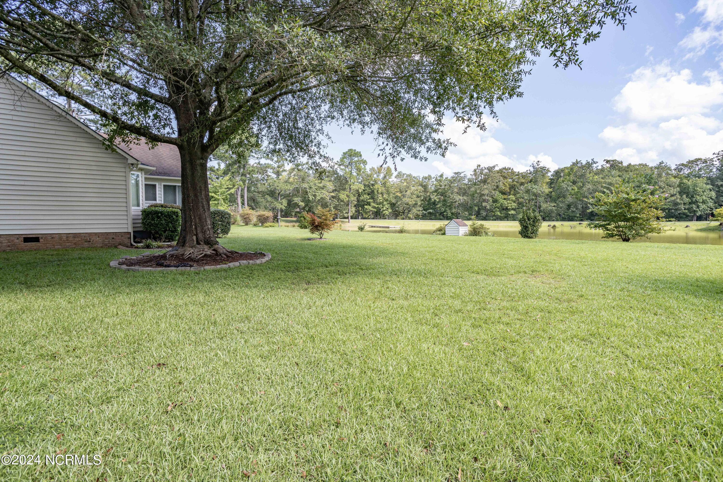 106 Raccoon Run Washington, NC 27889 - Photo 17 of 44 yard view 4