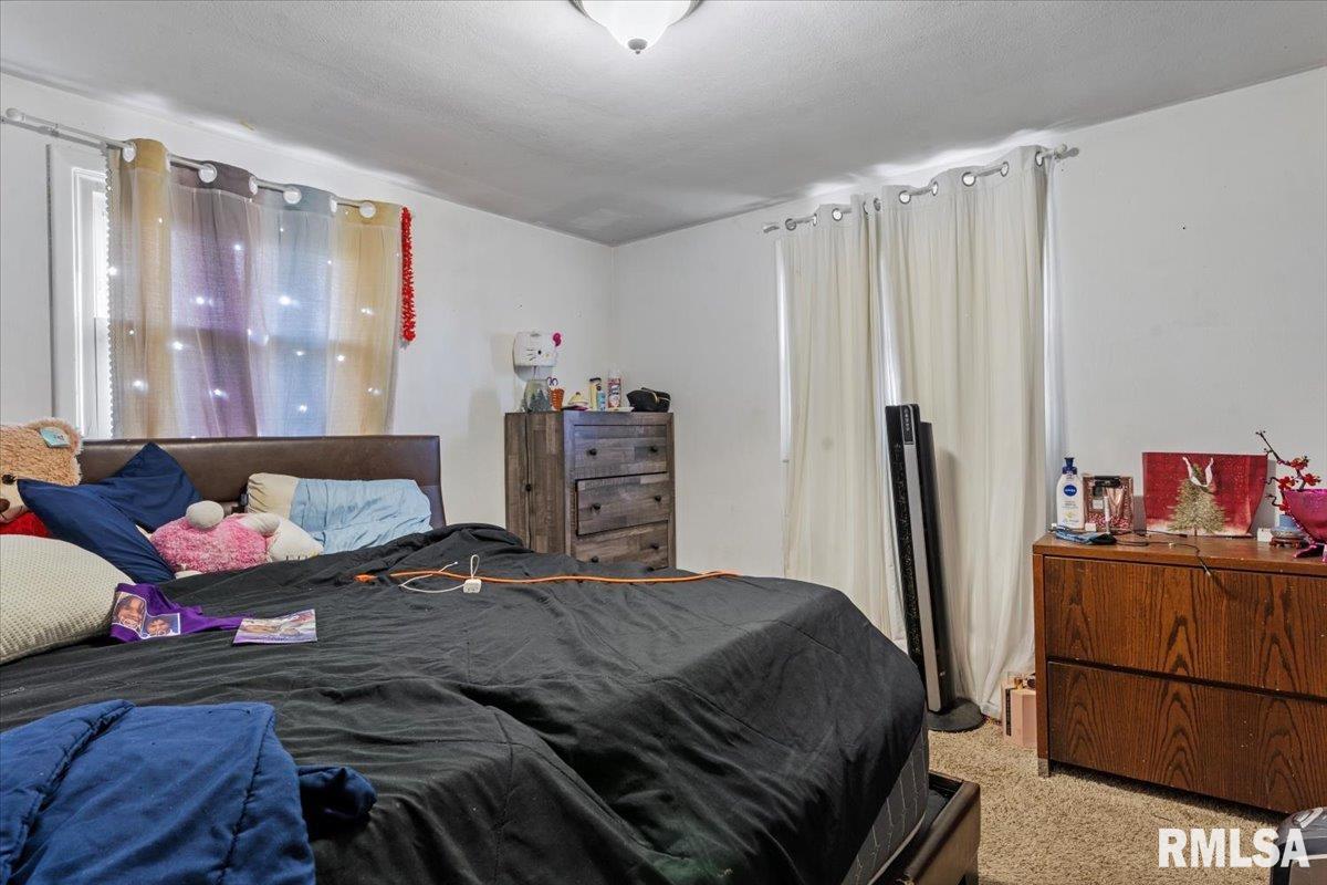 1712 Jerome Avenue Springfield, IL 62704 - Photo 9 of 22