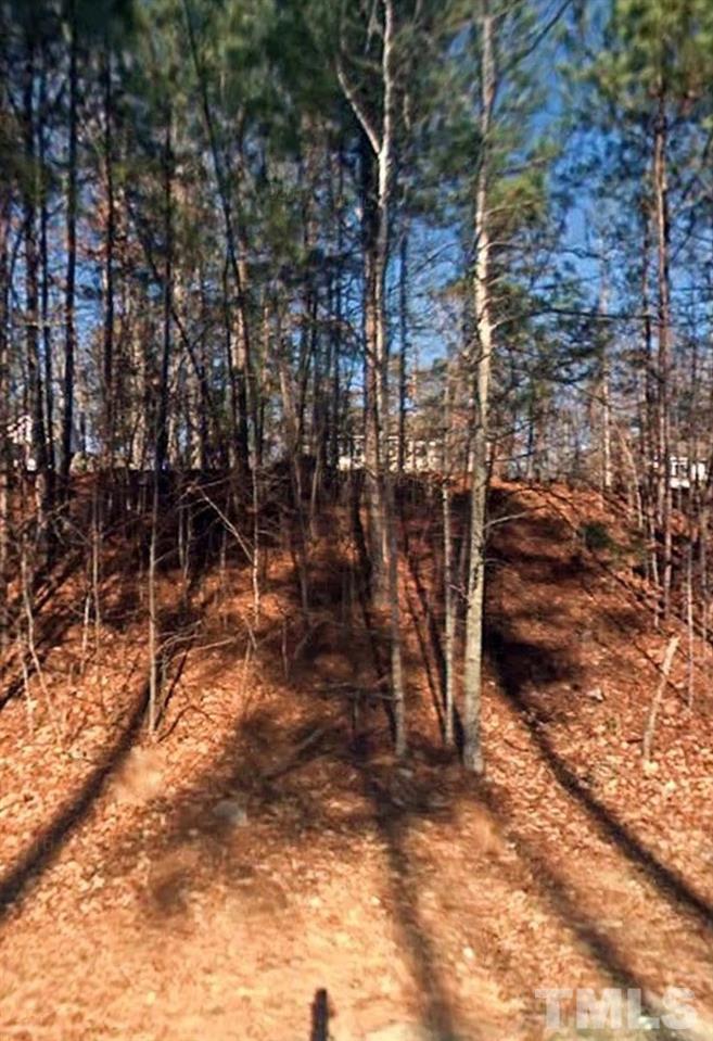 525 South Meadow Road Raleigh, NC 27603 - Photo 3 of 3
