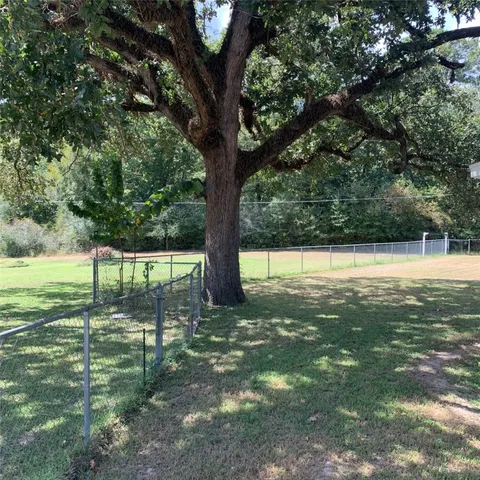 a view of a yard with a tree