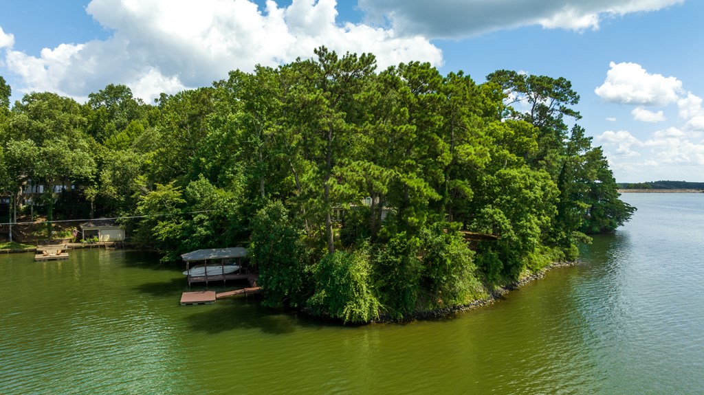 198 Newsite Road Hamilton, GA 31811 - Photo 25 of 29 Gallery Image 25