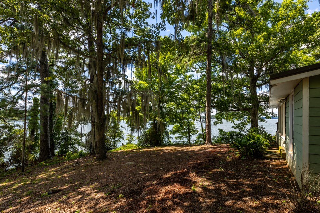 198 Newsite Road Hamilton, GA 31811 - Photo 3 of 29 Gallery Image 3