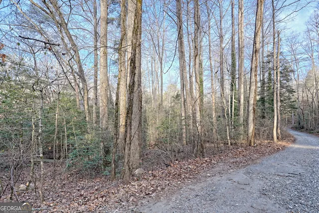 $560,000 | 341 Brookwood Lane, Clarkesville, GA 30523