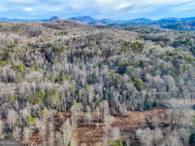 $560,000 | 341 Brookwood Lane, Clarkesville, GA 30523