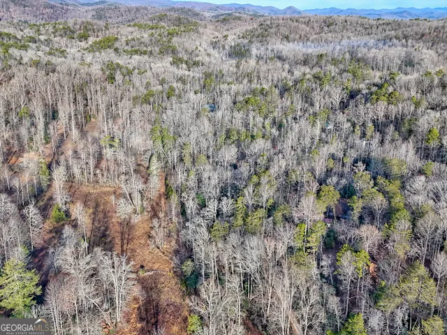 $560,000 | 341 Brookwood Lane, Clarkesville, GA 30523