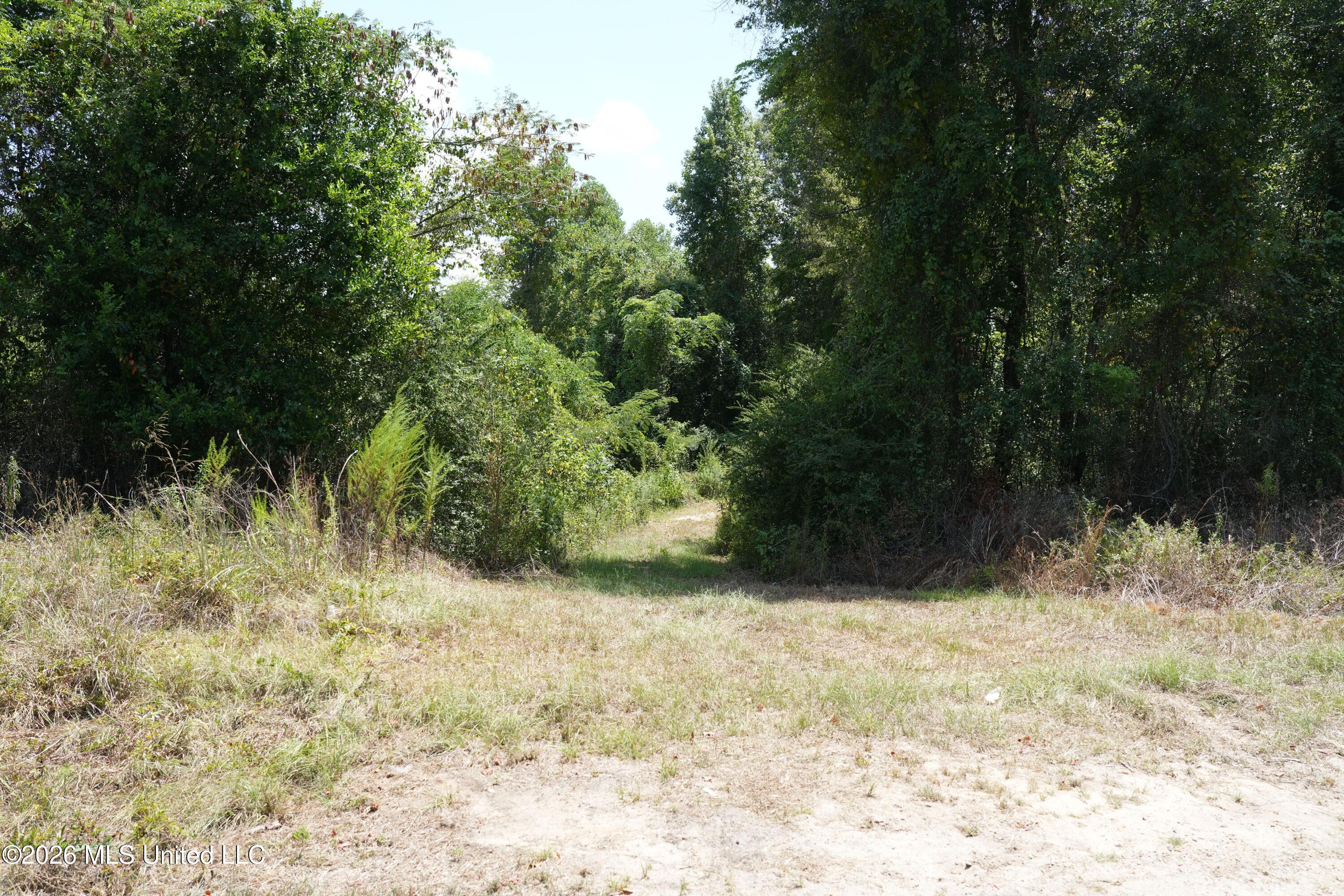 Joe Booth Road Taylorsville, MS 39168 - Photo 12 of 34 DSC04373