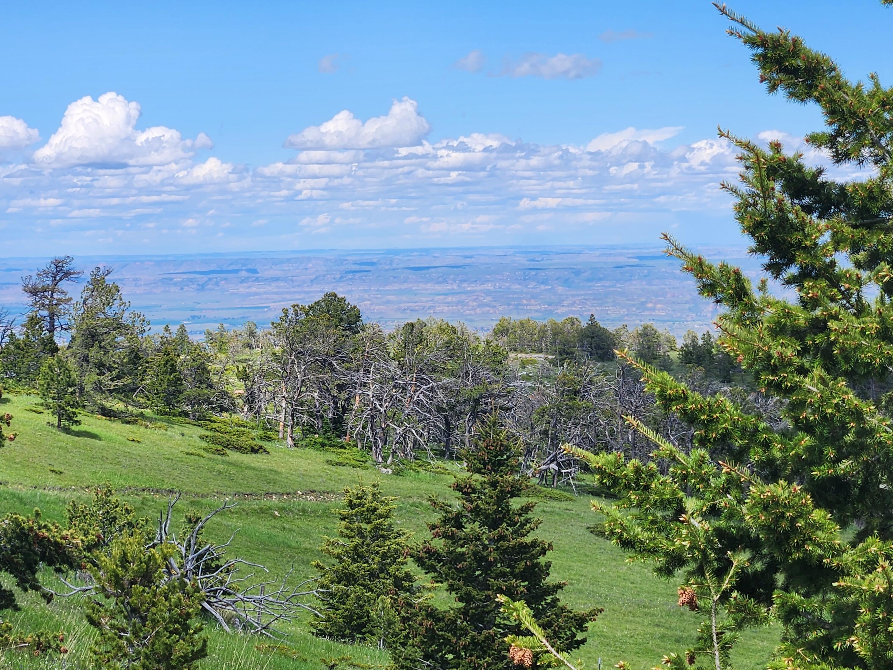 12 Blacktooth Road Big Horn, WY 82833 - Photo 18 of 25 Valley View