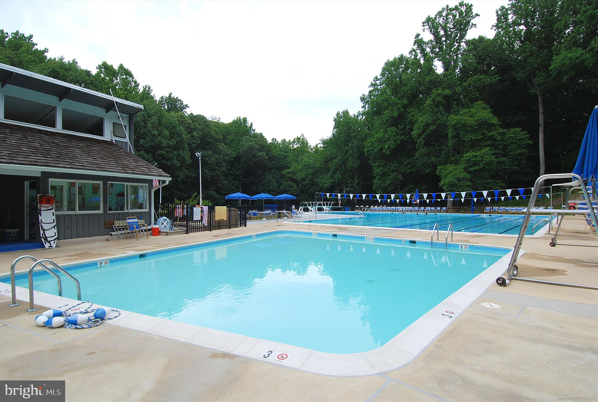 8328 Fenway Road Bethesda, MD 20817 - Photo 58 of 62 Carderock Springs Pool