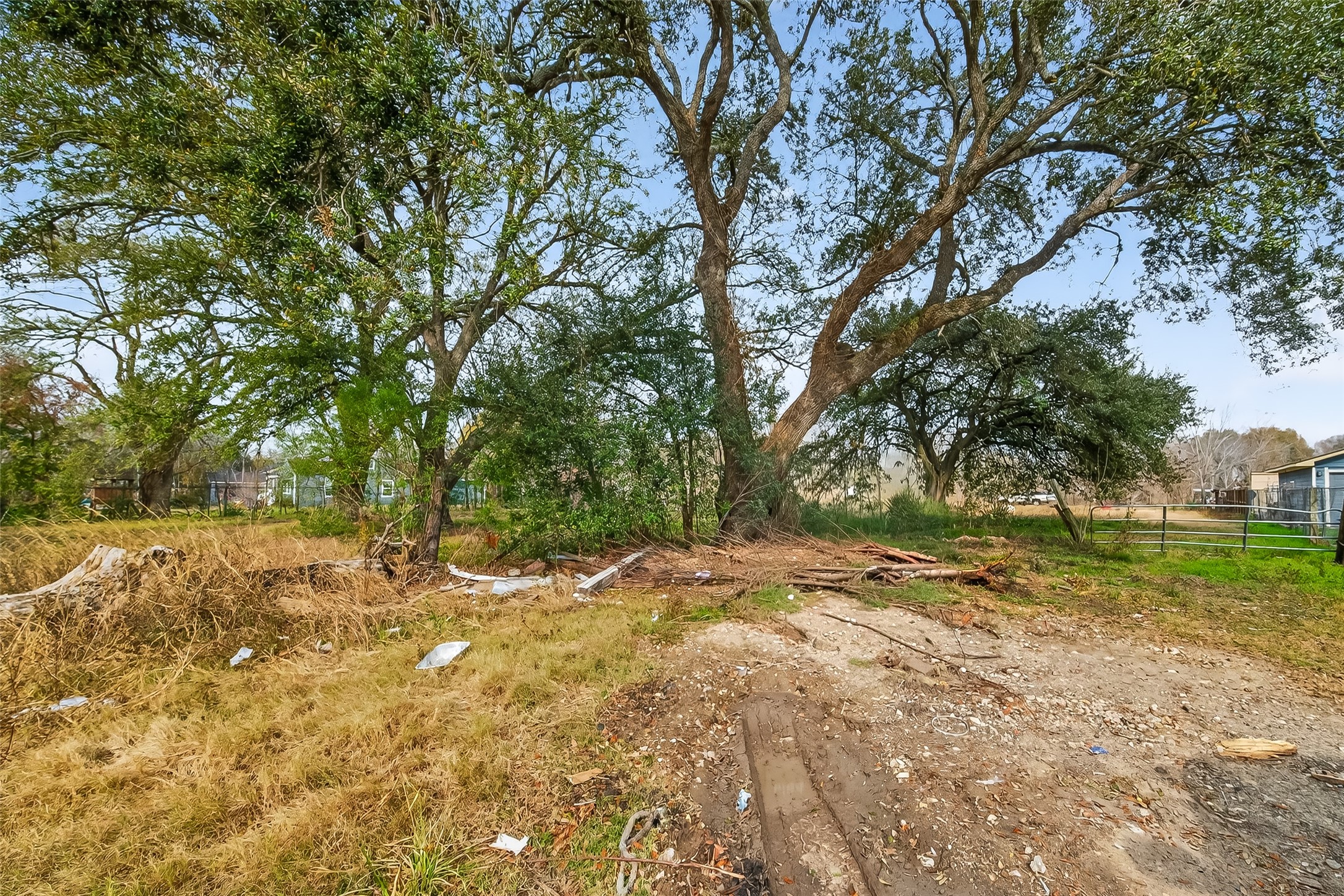 a view of a yard with trees