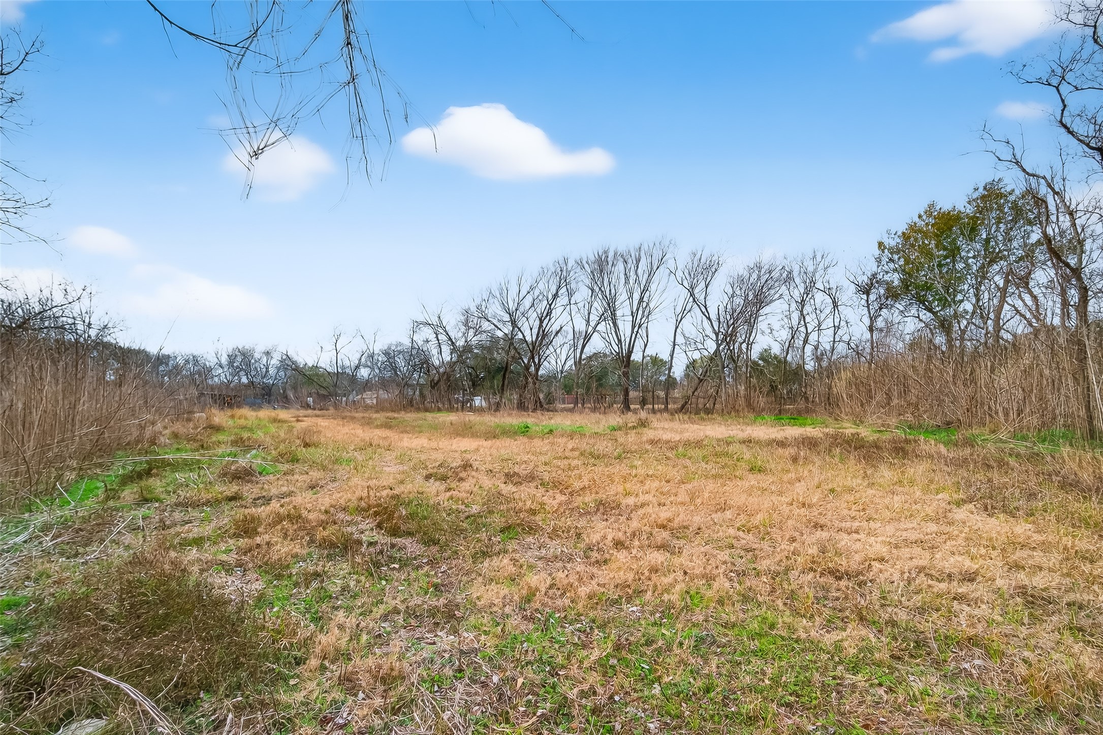 3721 Almeda Genoa Road Houston, TX 77047 - Photo 11 of 50 a view of lake with green space