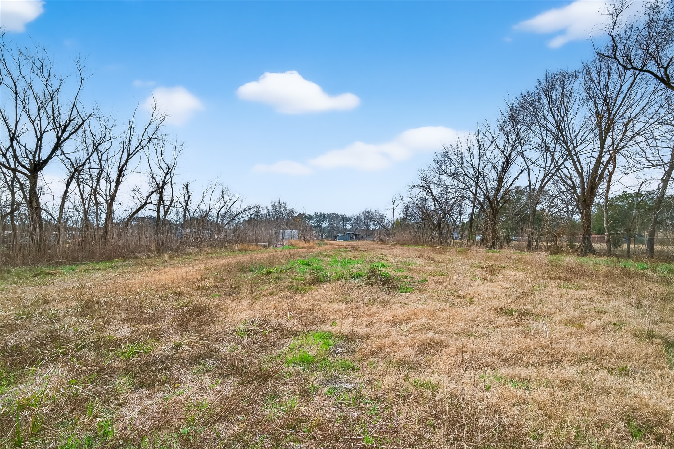 3721 Almeda Genoa Road Houston, TX 77047 - Photo 12 of 50 a view of open space with yard and trees